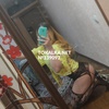 Проститутка ♥️ Милана ♥️одна фото мои - Бишкек эскорт